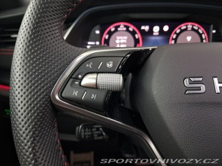 Škoda Octavia RS RS RS 2.0 TSI 2025