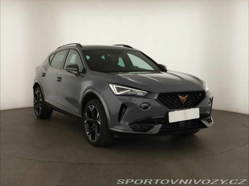Cupra Formentor Business 2.0 TSI 4Drive