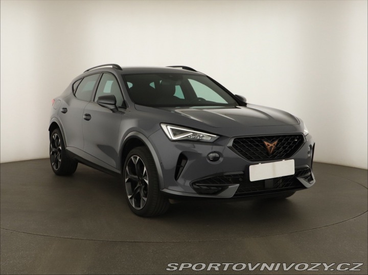 Cupra Formentor Business 2.0 TSI 4Drive 2024