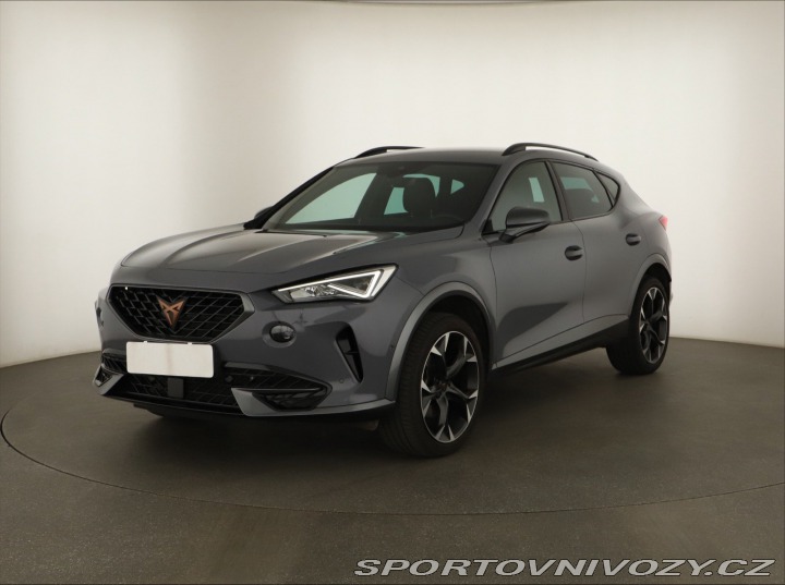 Cupra Formentor Business 2.0 TSI 4Drive 2024