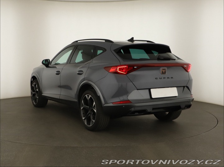 Cupra Formentor Business 2.0 TSI 4Drive 2024