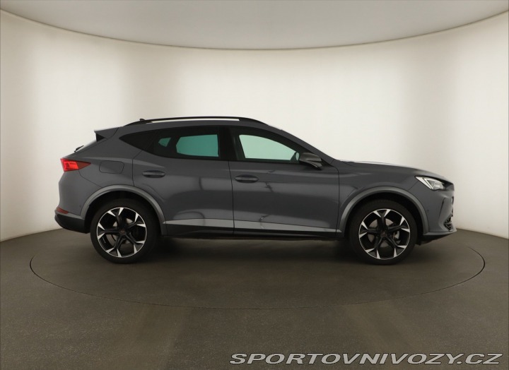 Cupra Formentor Business 2.0 TSI 4Drive 2024