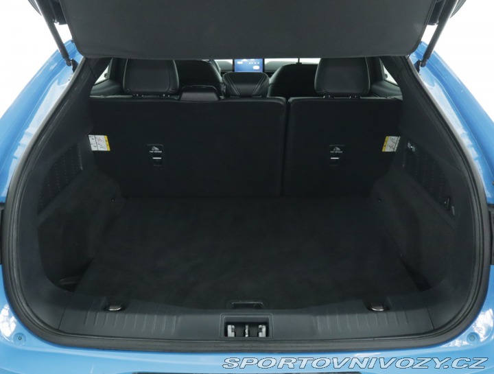 Ford Mustang Mach-E Standard Range RW 2024