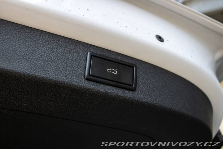 Škoda Kodiaq RS 2.0 TDI RS DSG 4x4 / 176 2019