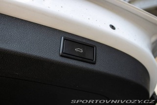 Škoda Kodiaq RS 2.0 TDI RS DSG 4x4 / 176 2019