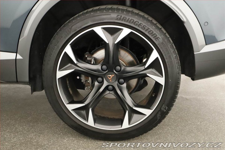 Cupra Formentor Performance 2.0 TSI 4Driv 2024
