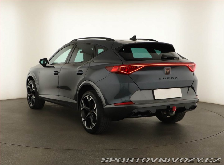 Cupra Formentor Performance 2.0 TSI 4Driv 2024