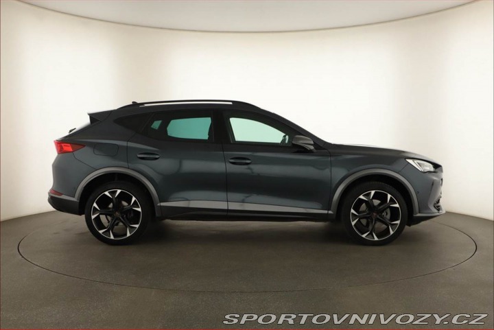 Cupra Formentor Performance 2.0 TSI 4Driv 2024