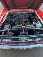 Ford Mustang Hardtop 5.0 V8 SelectShift 1968