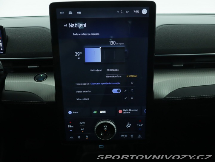 Ford Mustang Mach-E Standard Range RW 2021