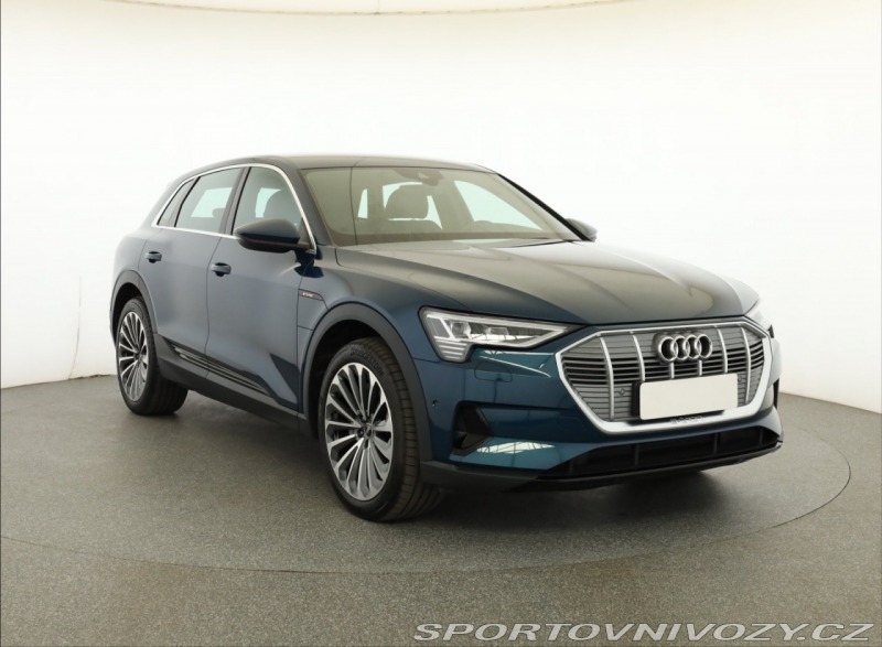 Audi Ostatní modely e-tron e-tron 50 quattro