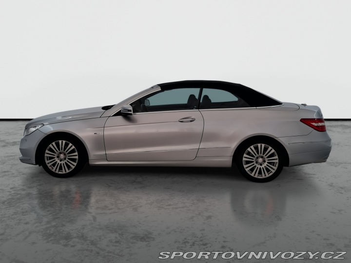 Mercedes-Benz E E 250 2010