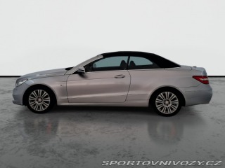 Mercedes-Benz E E 250 2010