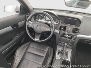 Mercedes-Benz E E 250 2010