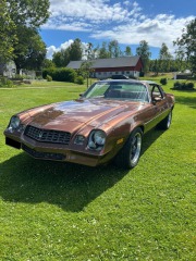 Chevrolet Camaro LT 5.0 V8 Hydra-Matic 1979