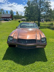 Chevrolet Camaro LT 5.0 V8 Hydra-Matic 1979