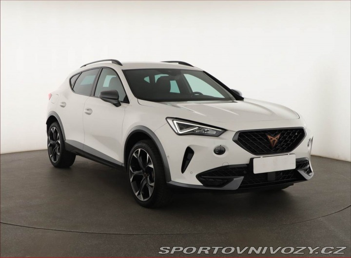 Cupra Formentor 2.0 TSI 4Drive 2023