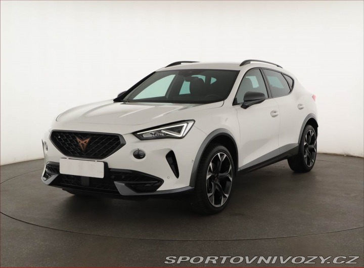 Cupra Formentor 2.0 TSI 4Drive 2023