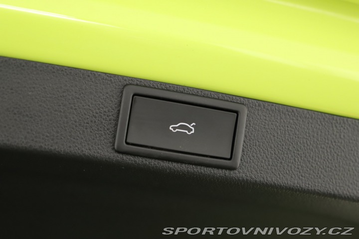 Škoda Octavia RS RS RS 2.0 TSI 2025