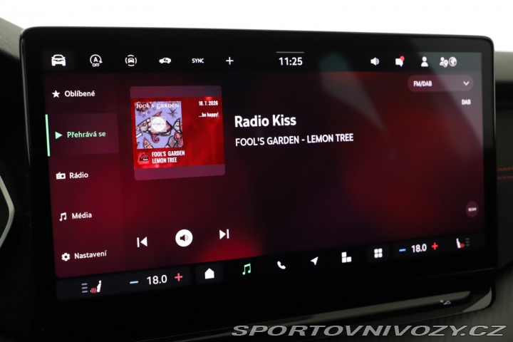 Škoda Octavia RS RS RS 2.0 TSI 2025