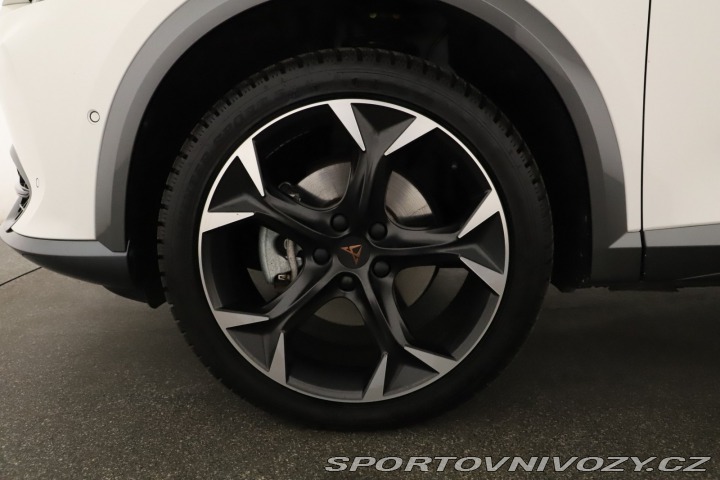 Cupra Formentor 2.0 TSI 4Drive 2023