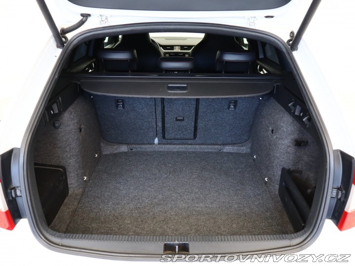 Škoda Octavia RS RS RS 2.0 TDI 2013