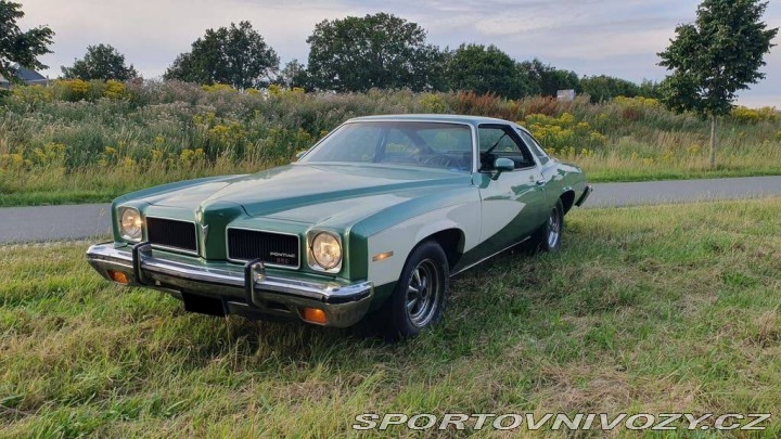 Pontiac Ostatní modely LeMans 1973