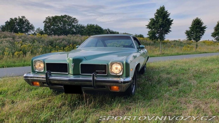 Pontiac Ostatní modely LeMans 1973