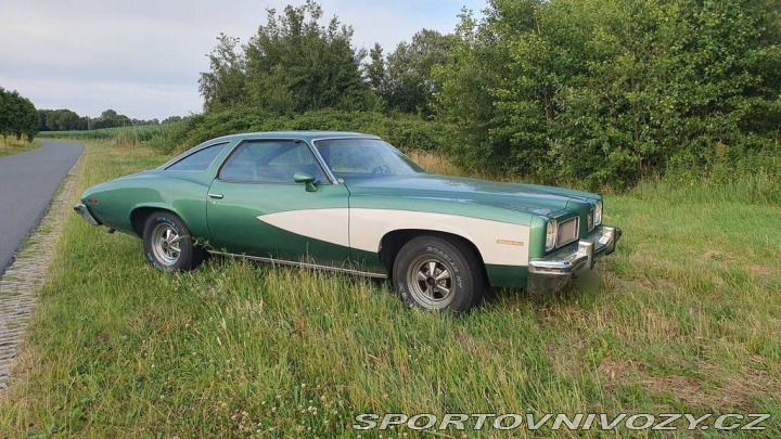Pontiac Ostatní modely LeMans 1973