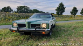 Pontiac Ostatní modely LeMans 1973