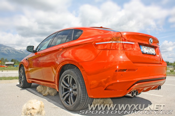 BMW X6 X6M 2011