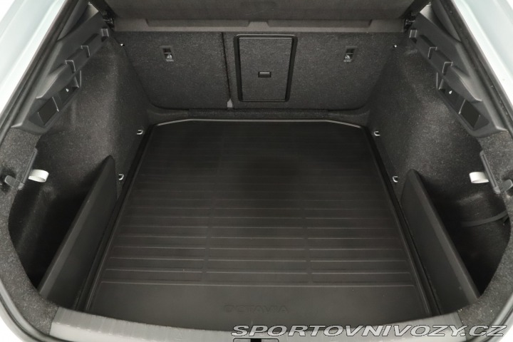 Škoda Octavia RS RS RS 2.0 TSI 2025