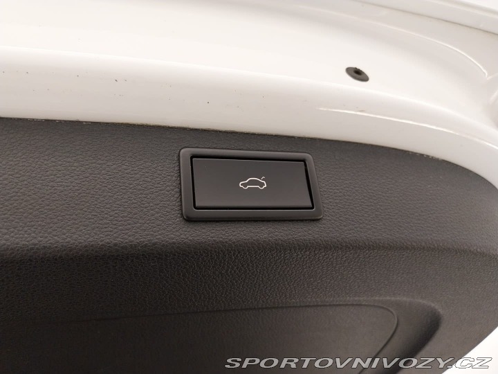 Škoda Kodiaq RS RS RS 2.0 TDI 2020