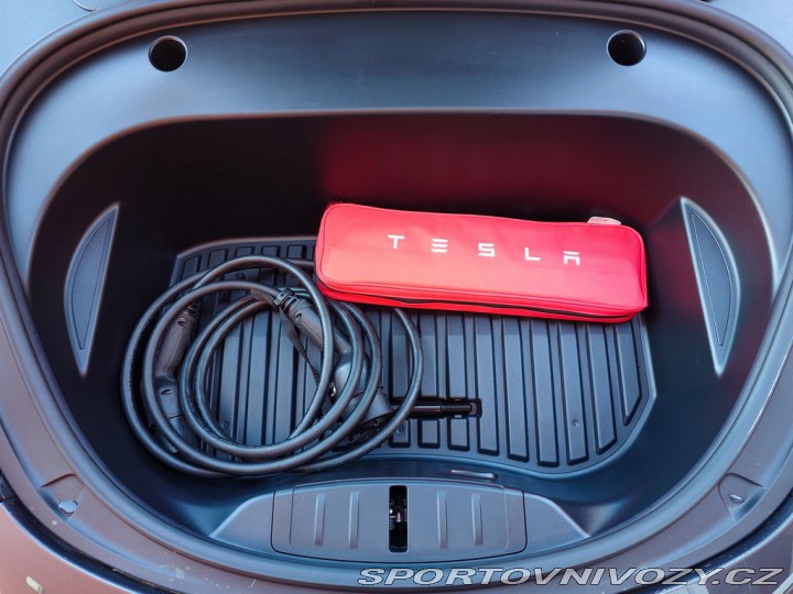 Tesla Model 3 Standard plus RWD 239 kW 2021