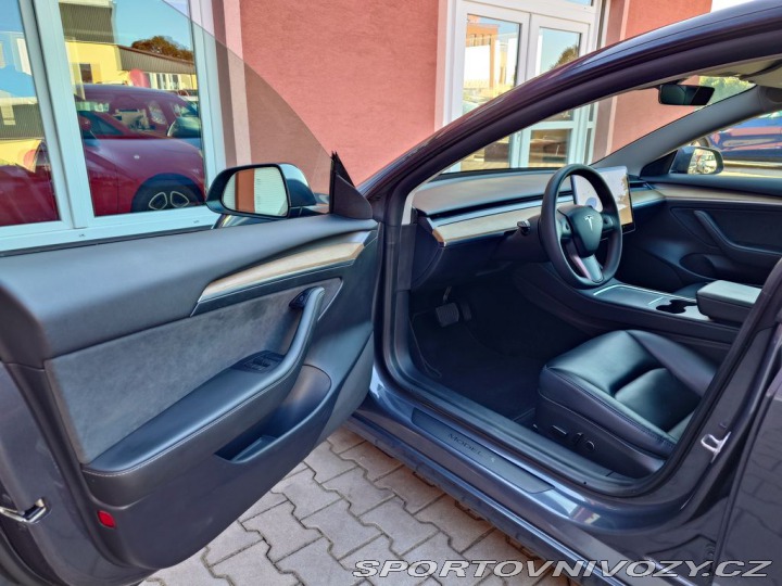 Tesla Model 3 Standard plus RWD 239 kW 2021