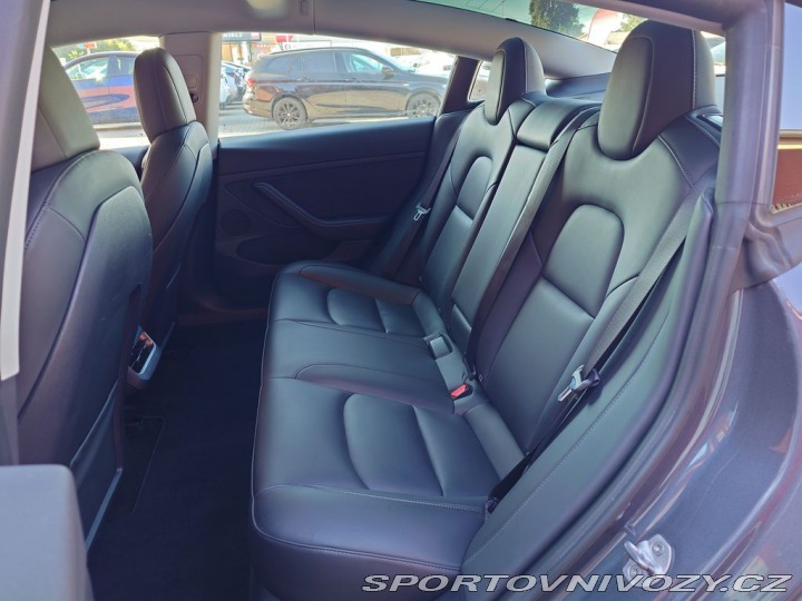 Tesla Model 3 Standard plus RWD 239 kW 2021