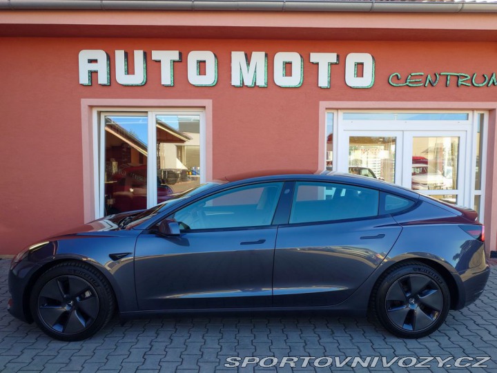 Tesla Model 3 Standard plus RWD 239 kW 2021