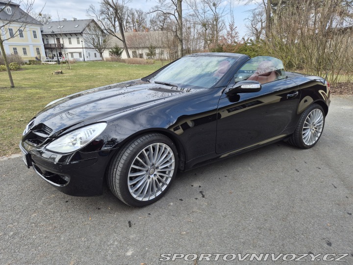 Mercedes-Benz SLK SLK280 2008