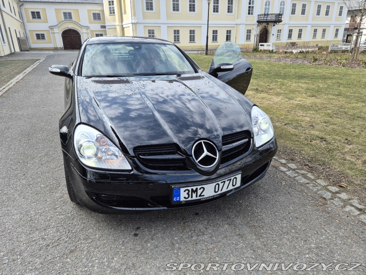 Mercedes-Benz SLK SLK280 2008