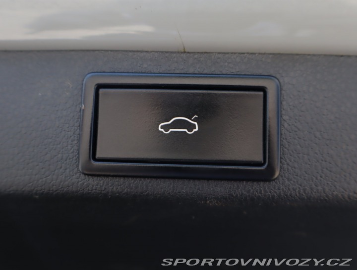 Škoda Octavia RS RS 2.0 TSI 2019