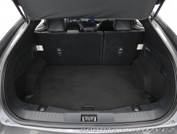 Ford Mustang Mach-E  Standard Range RW 2021