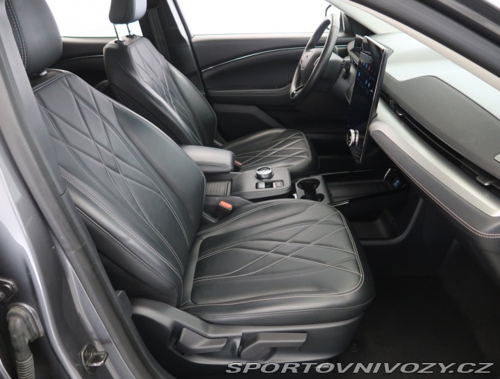 Ford Mustang Mach-E  Standard Range RW 2021