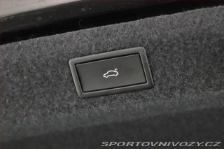 Škoda Octavia RS RS 2.0 TSI 2024