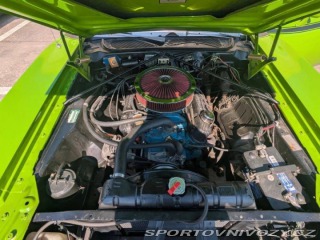 Dodge Charger  1973