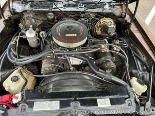 Chevrolet Camaro Z28 1979