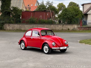 Volkswagen Brouk 1200