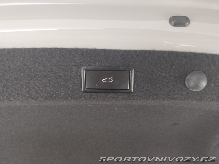 Škoda Octavia RS RS RS 2.0 TSI 2021