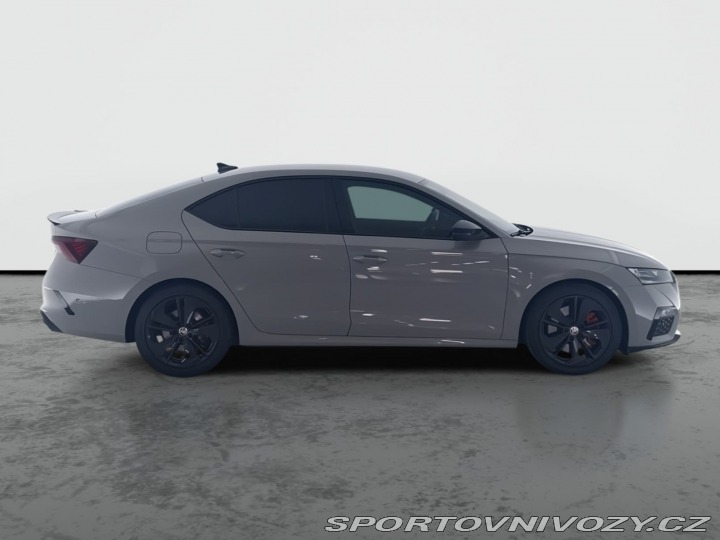 Škoda Octavia RS RS RS 2.0 TSI 2021