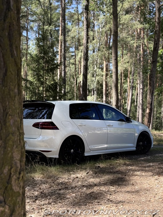 Volkswagen Golf Golf 7r 2016