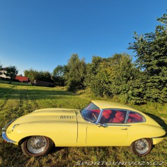 Jaguar E-Type Jaguar E-Type 1 serie 4,2 1968